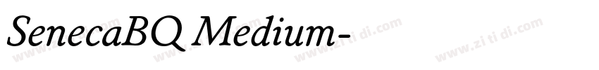 SenecaBQ Medium字体转换